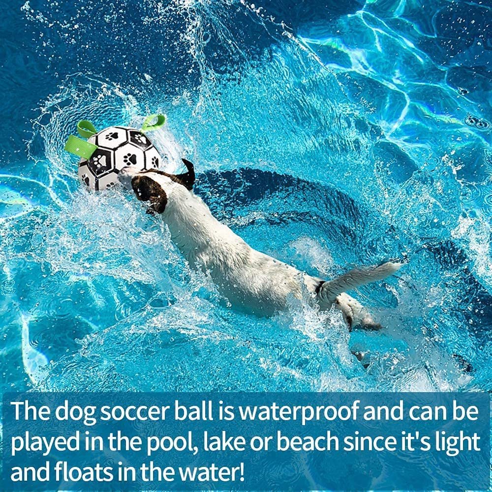Inflated Interactive Dog Soccer Ball Training Toy - PurePaws Co