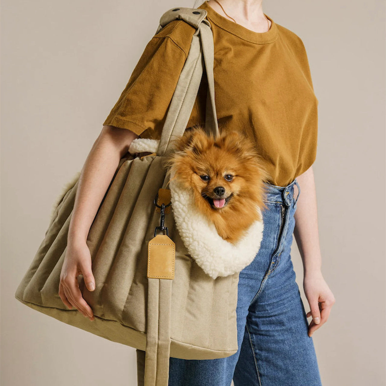 Portable Waterproof Dog Carrier Handbag - PurePaws Co