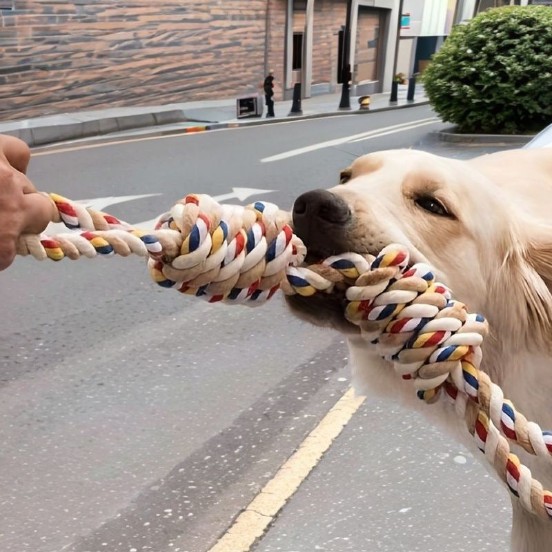 Large Teeth Grinding Rope Knot Toy For Pet - PurePaws Co