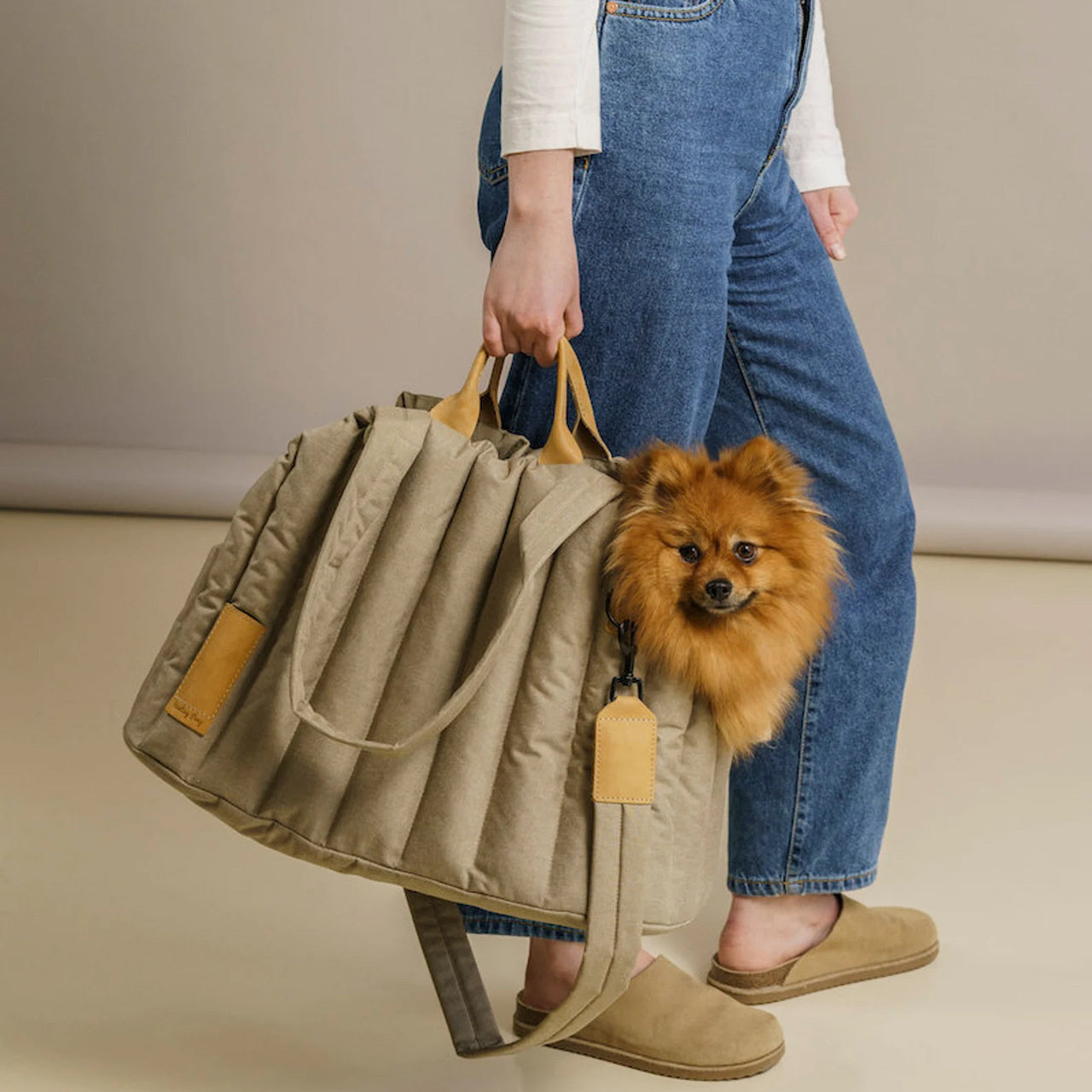 Portable Waterproof Dog Carrier Handbag - PurePaws Co