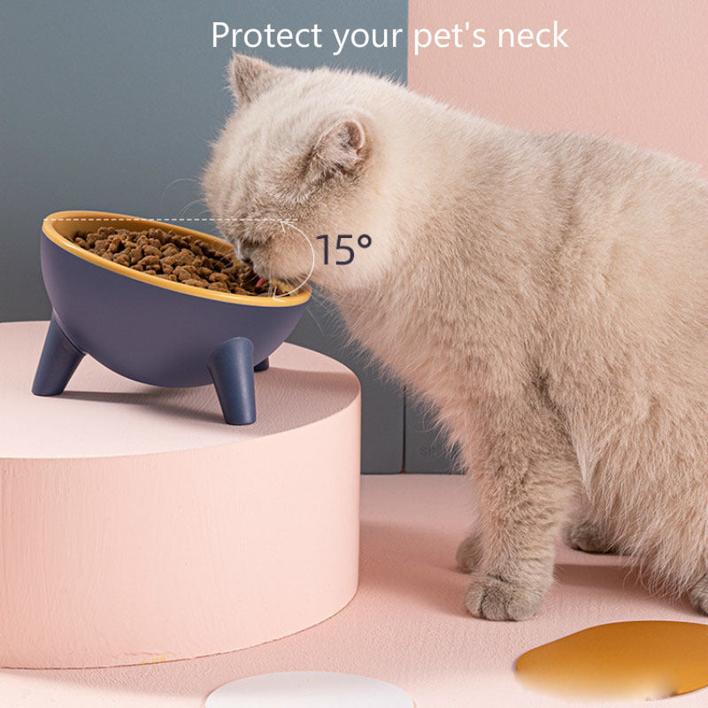 Nordic Pet Feeding Bowl with Stand - PurePaws Co